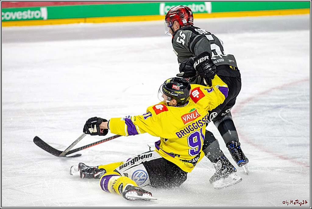 DEL; Koelner Haie - Krefeld Pinguine, 23.12.2018